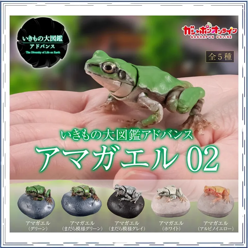 BANDAI Фигурка лягушка Rhacophorus