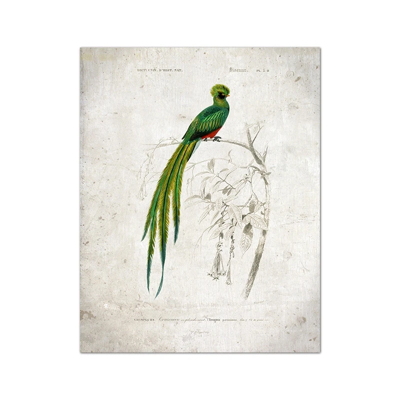 

Художественная печать Yoolife Тангары на холсте