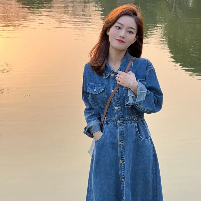 Осенняя одежда для женщин 2024 новое французское платье High Sense Demin длинная юбка