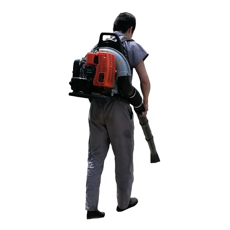 

Backpack gasoline power Leaf Blower