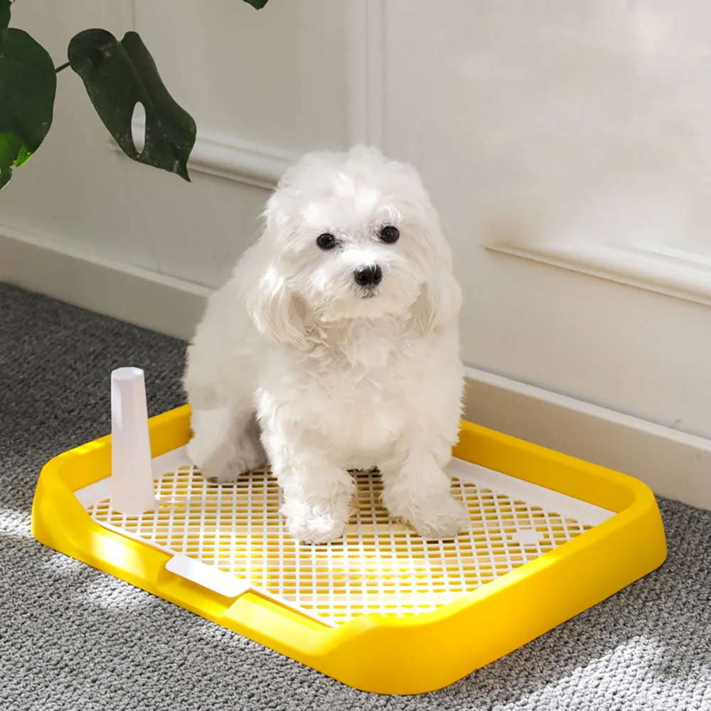 Унитаз для собак среднего и маленького размера съемная моющаяся миска уборки