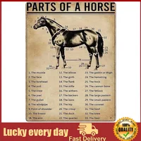 Parts Of A Horse Knowledge Metal Tin Signs Popular Science Print Poster School Farm Garden Hospital Information Table Bar Garage