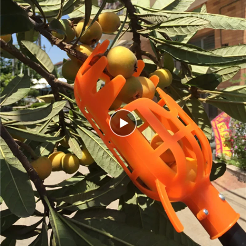 

Fruit Picker Greenhouse Plastic Catcher Fruit Picking Tool Farm Garden Picking Device Garden Greenhouses Tool Without Handle