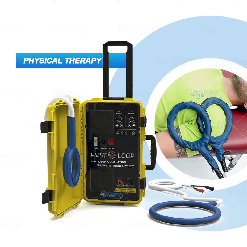 Портативная Магнитная терапия пмст петлей для облегчения боли в спине