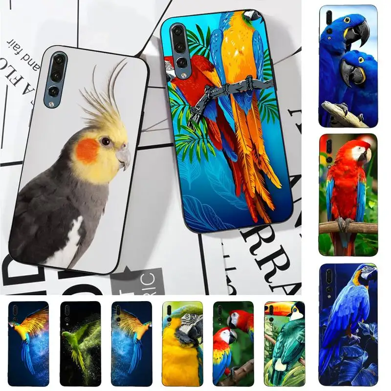 

Parrot Bird Phone Case for Huawei P30 40 20 10 8 9 lite pro plus Psmart2019