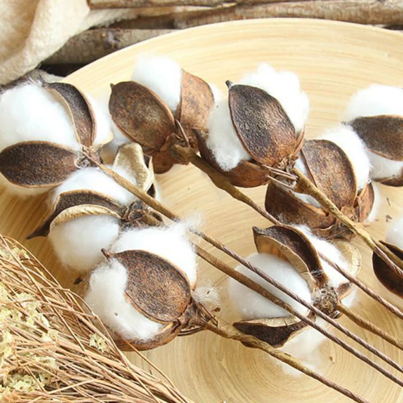 10 шт. Натуральные Сушеные хлопковые цветы искусственные букет подружки невесты