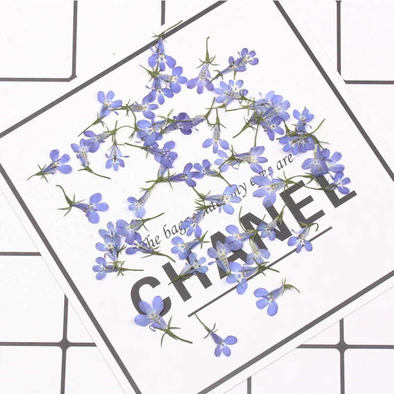 Сушеный цветок Лю били сушеный прессованный сделай сам клей ручной работы