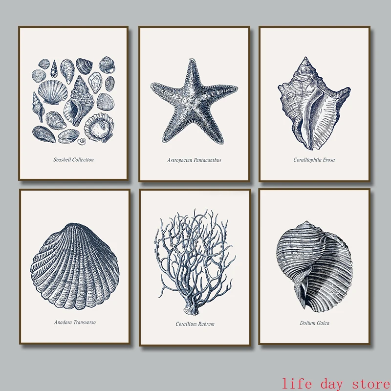 Постеры на холсте с морскими ракушками и