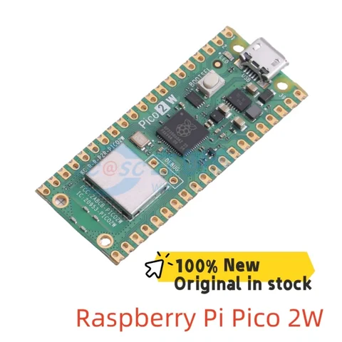 Raspberry Pi Pico 2W