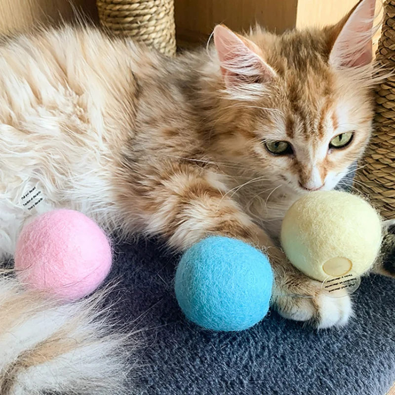 

Cat Training Toy Pet Playing Ball Pet Squeaky Supplies Smart Cat Toys Interactive Ball Catnip for Cats Kitten Kitty Products Toy