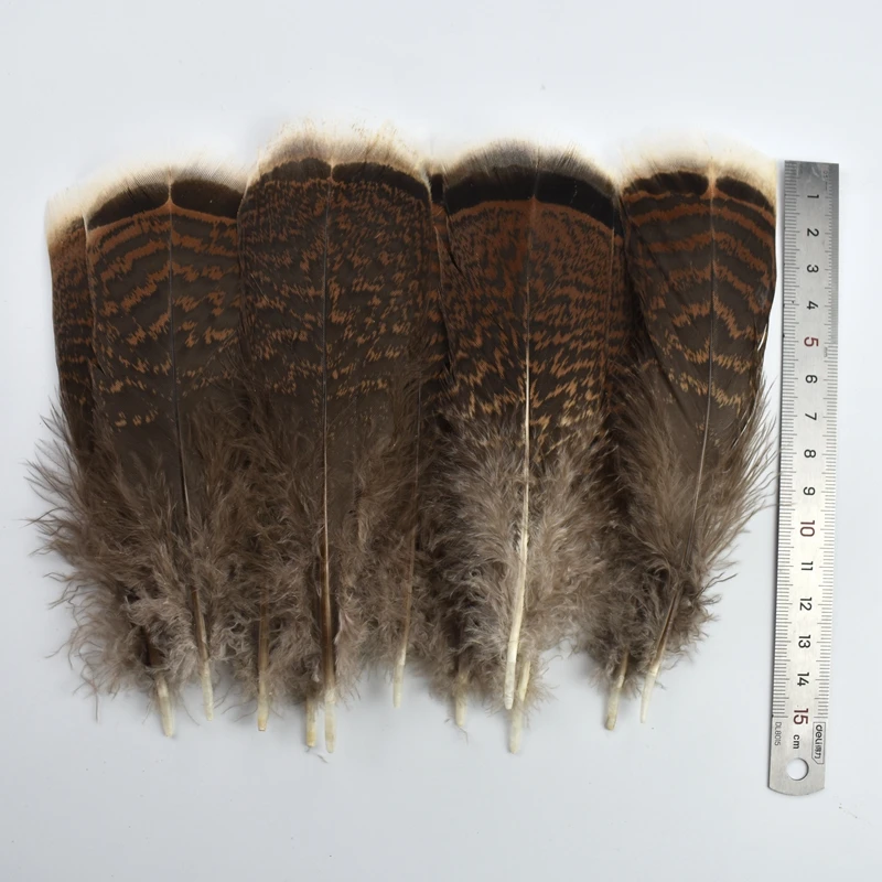 10Pcs/Lot Natural Turkey Pheasant Eagle Feathers for Decoration 10-15cm Feather Crafts Carnaval Assesoires manmade Decorations - купить по