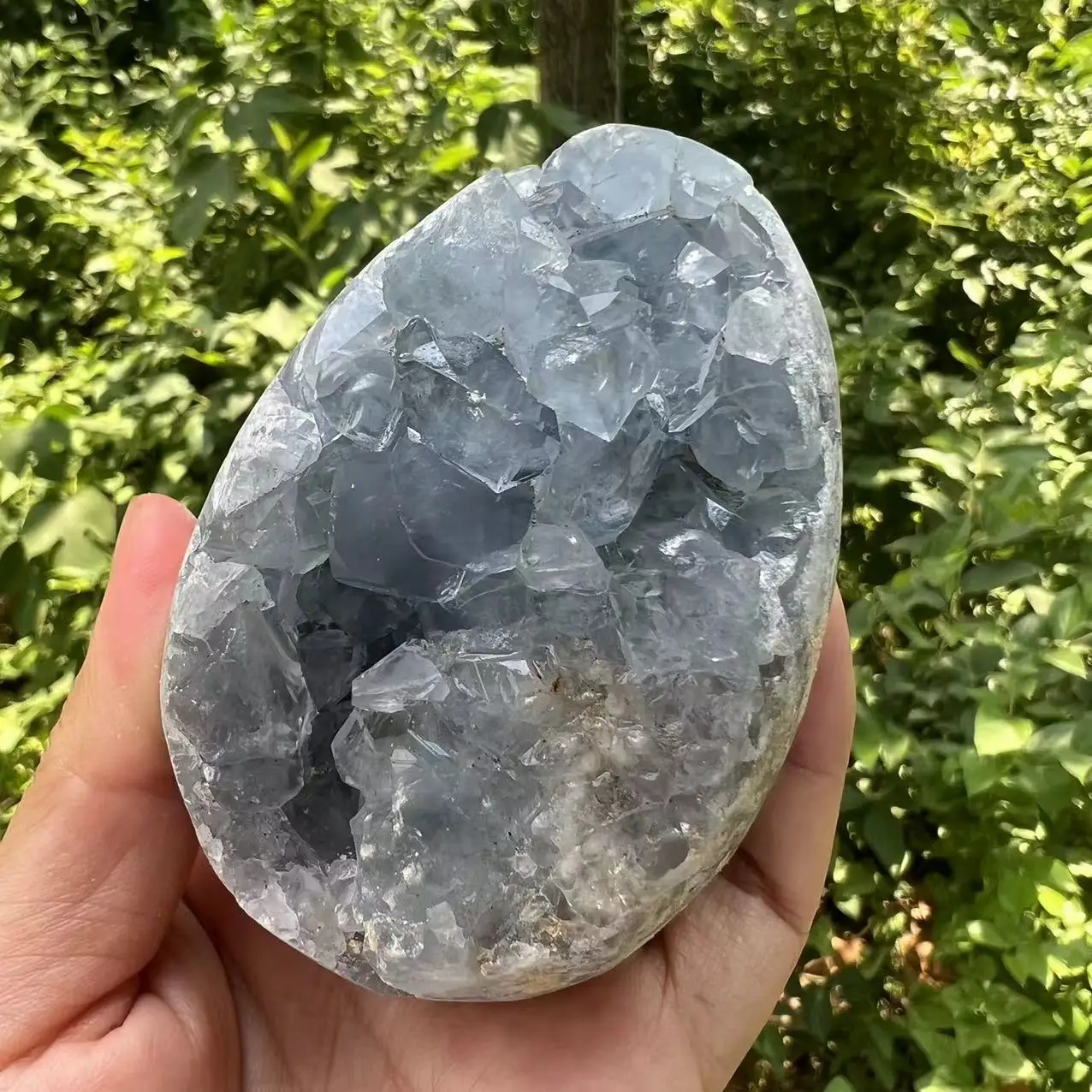 511 г 8 2 см натуральные синие кристаллы келестита жеодовое яйцо для украшения дома