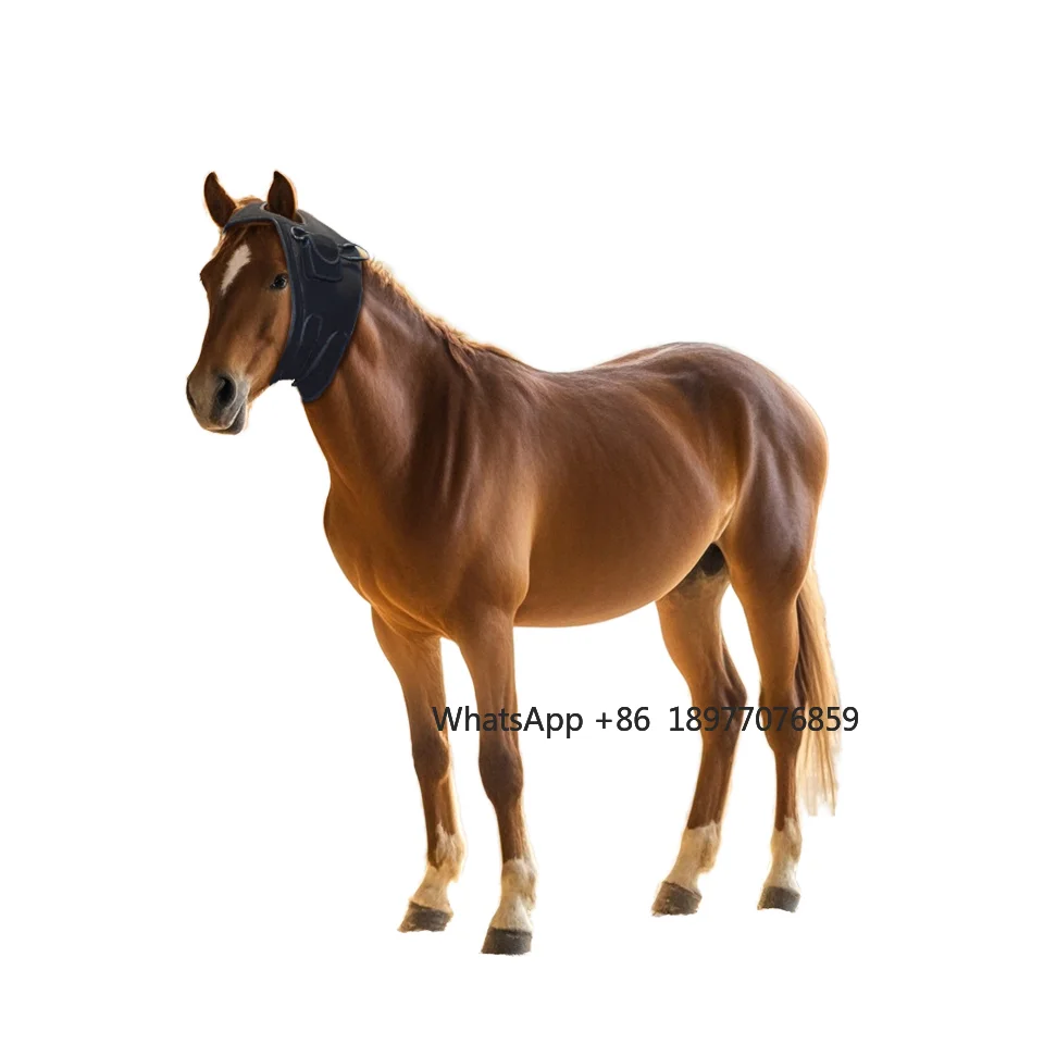 Фото SINOCO Equine Poll Cap Инфракрасный свет для головы лошади Инструмент для терапии красным светом Сертифицированный CE Терапевтическая пленка для головы лошади №4