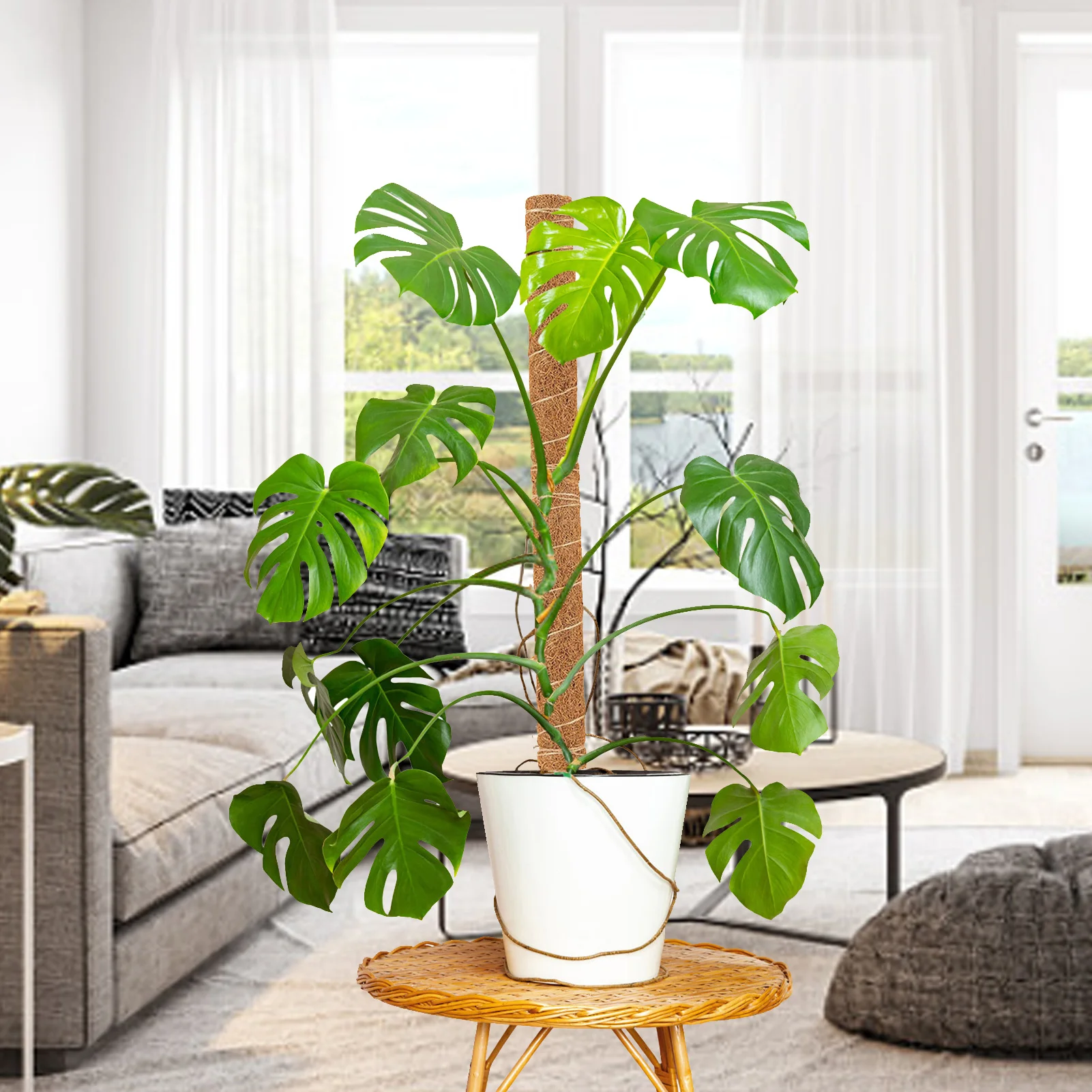 

Моховая опора для альпинизма, комнатная и уличная опора для горшечных растений, идеальная опора для растений, доступны 4 размера