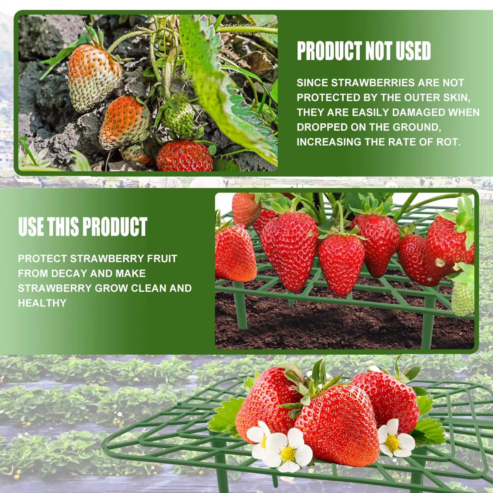 

3pcs Fruit Support Cages Handy Strawberry Supports with 4 Sturdy Legs Climbing Rack Vine Pillar Garden Stand Keeping Plant Clean