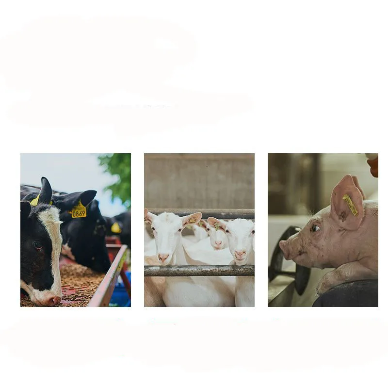 1 шт. устройство для ушных бирок плоскогубцы контроля животных инструмент скота