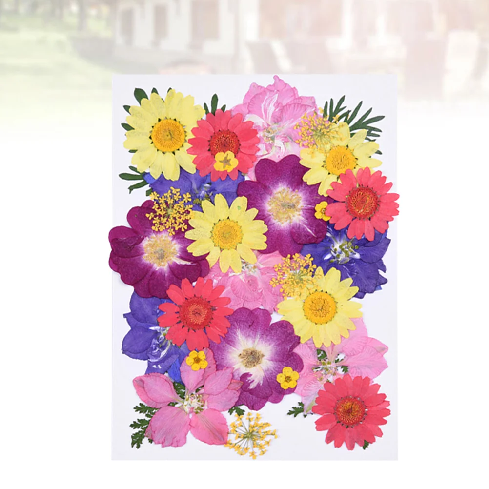 

Flowers Driedflower Natural Preserved Dry Arrangements Artificial Table Bouquets Wedding Decoration Bouquet Nailsnail Floral