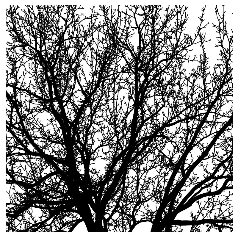 

Новинка 2022, прозрачный штамп в стиле ретро с изображением гигантских деревьев для рукоделия, поздравительная открытка, скрапбукинг, пресс-ф...