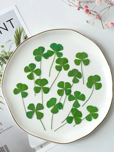 

Прессованные лепестки клевера NYAConfetti