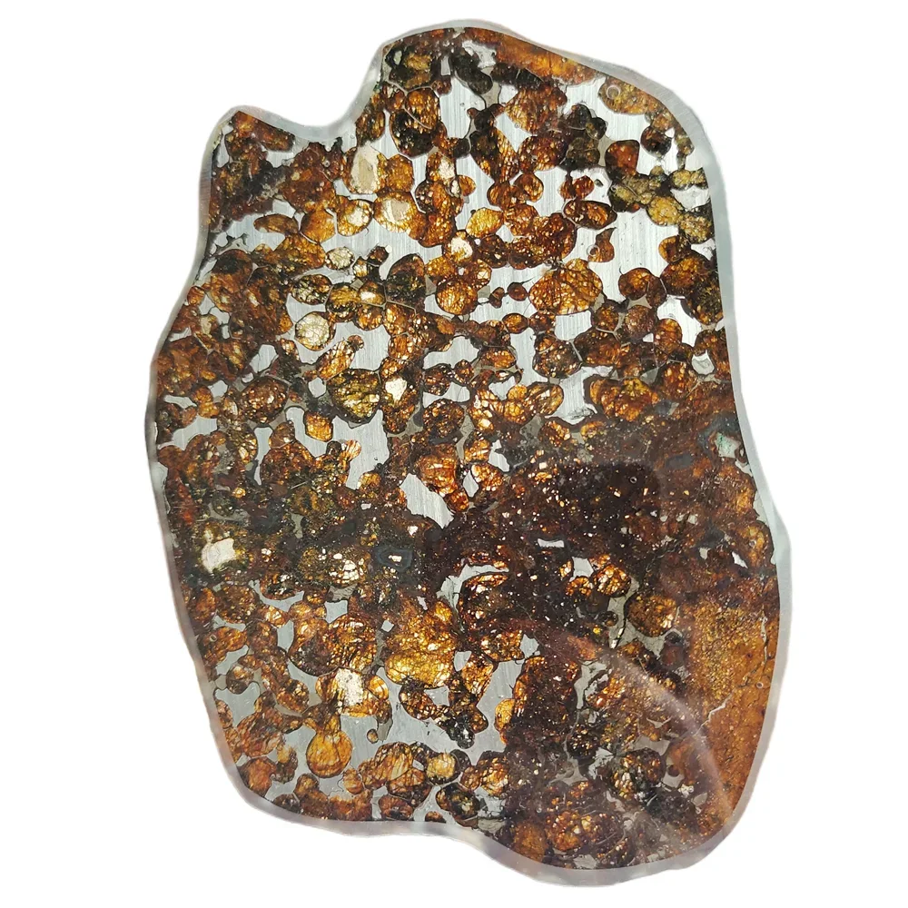 Kenya Olive Meteorite Sericho Оливковый метеорит Срез натурального метеорита Образец