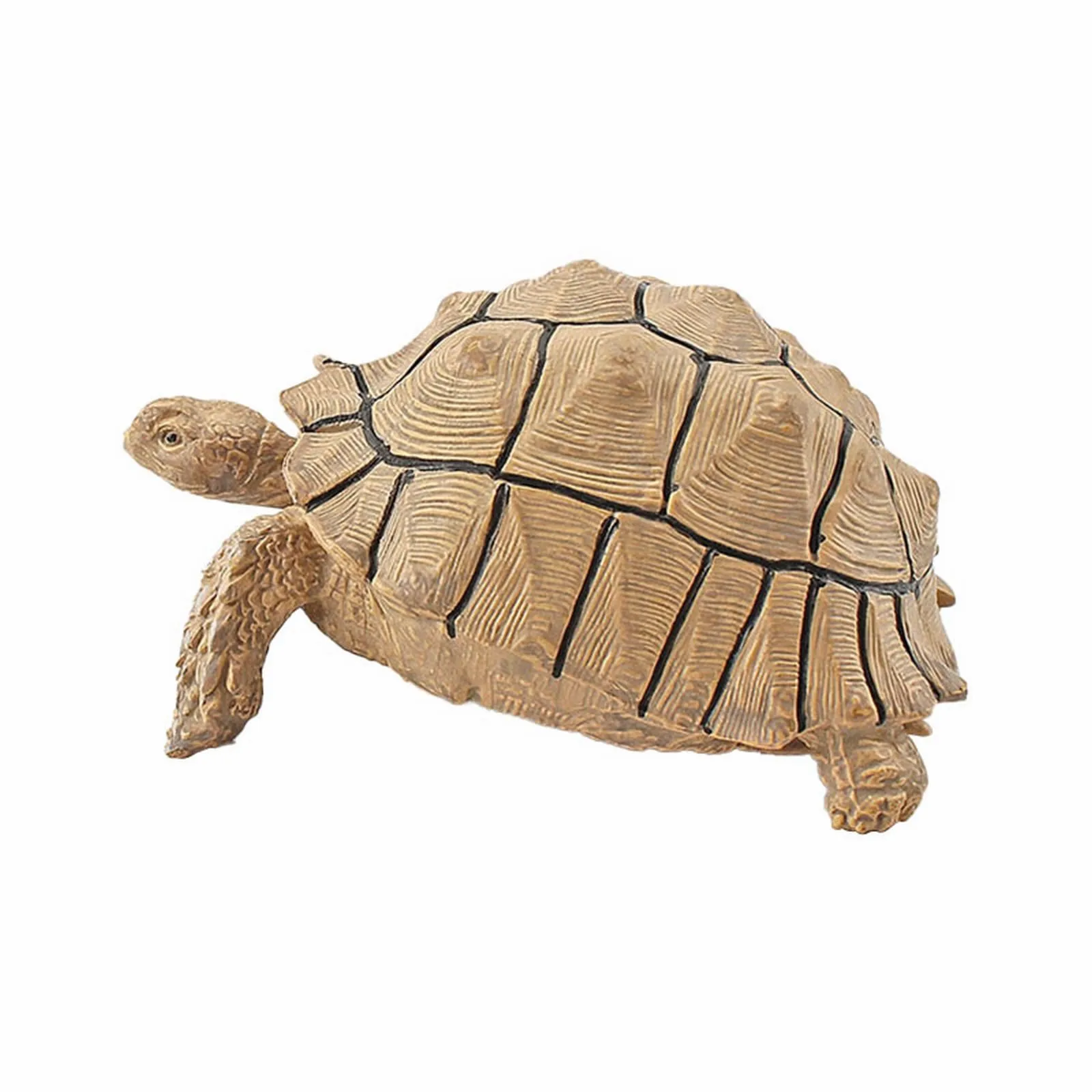 

Newborn Female Months Dress Baby Play Mat Turtle Animal Toys Miniature Figures Unique Turtle Toys Detailed Reptile Party