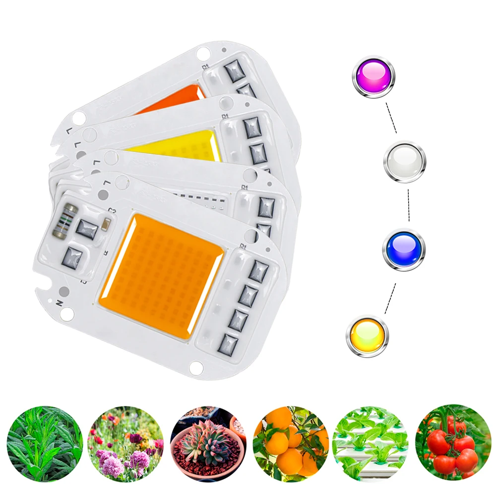 Ing Flood Light Led Bulb