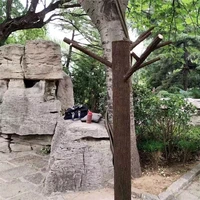 Самоклеящаяся пленка для труб "имитация коры"#4