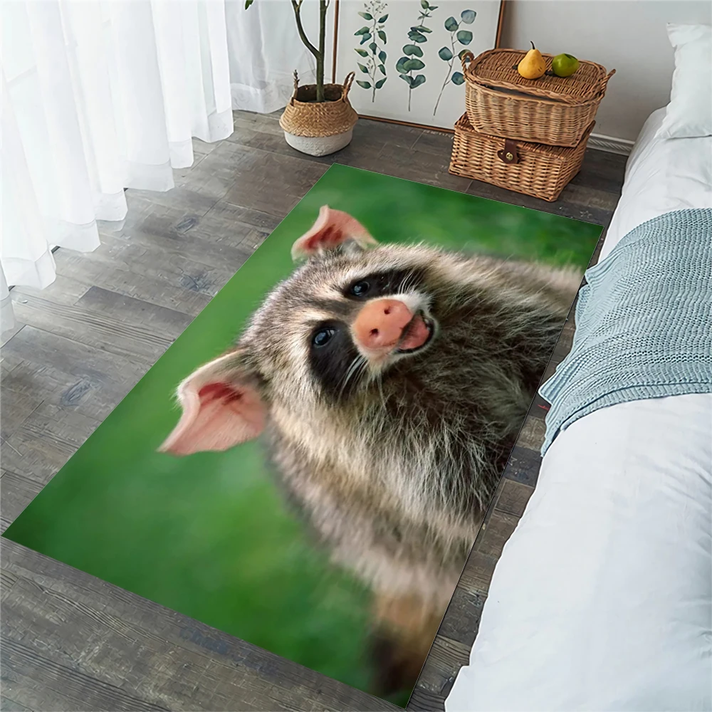 

CLOOCL Funny Raccoon Flannel Carpets for Living Room Fashion Area Rug Anti Slip Kitchen Mat Home Deco Dropshipping