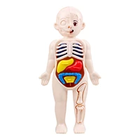 cute body toys for children early educational human body toy heart visceral brain skeleton rotatable organ anatomy assembly toy