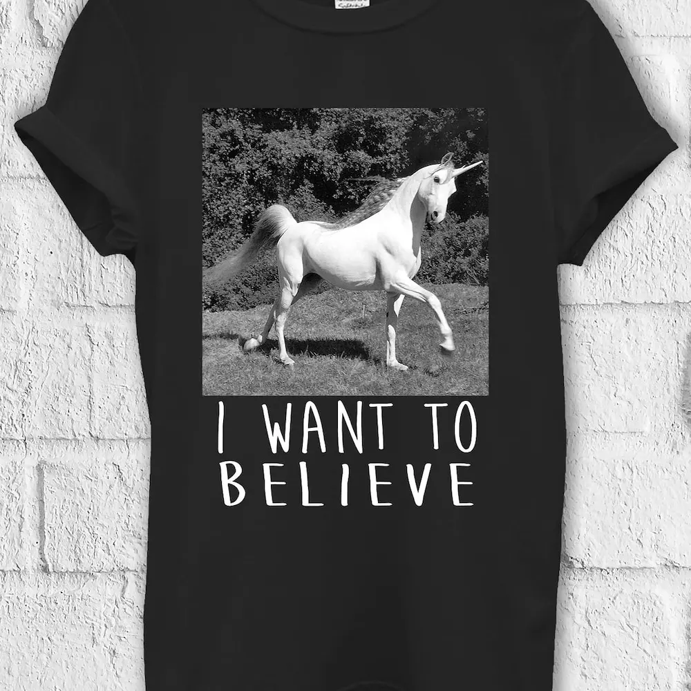 Я хочу верить что Единорог сумасшедшая футболка от пота рюкзак-бойфренд 892