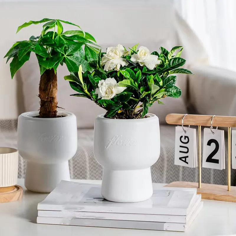 Пластиковый цветочный горшок с самополивом ACRDDK