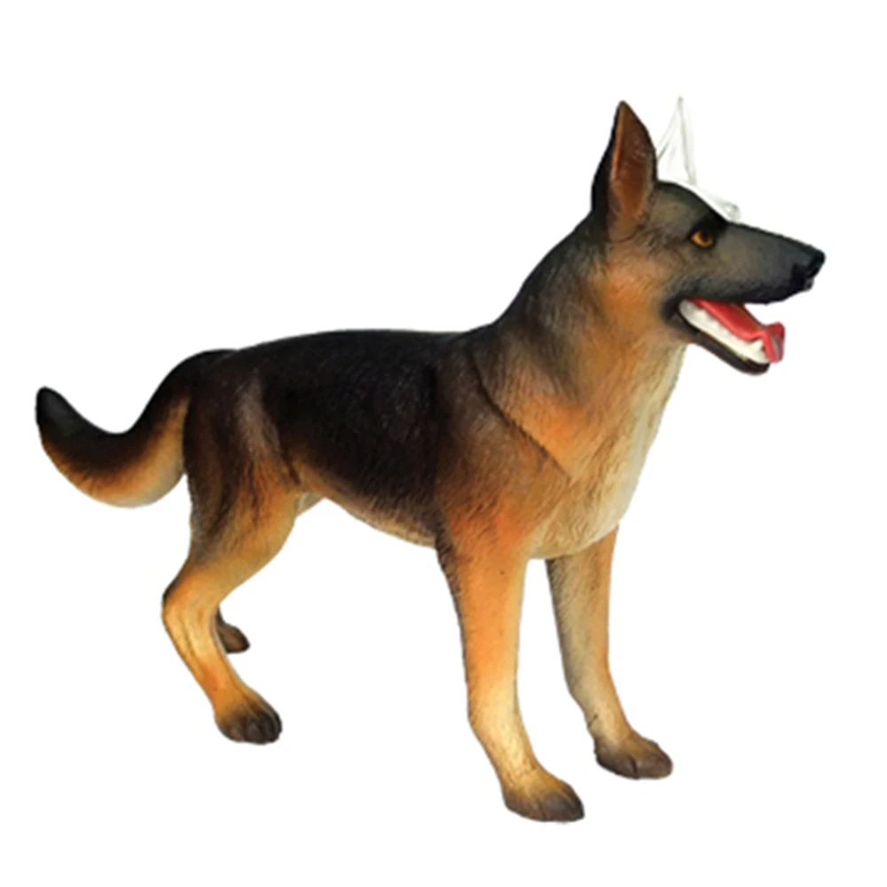 

Animal Organ Anatomy Model 4D Dog Intelligence Assembling Toy Teaching Anatomy Model DIY Popular Science Appliances