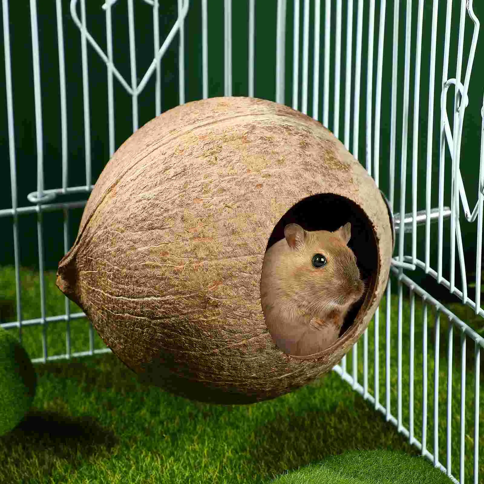 POPETPOP скорлупа кокоса птичье гнездо для домашних животных хомяк белка разведения
