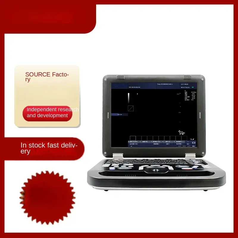 Рисунок 2 - Портативный ультразвуковой сканер