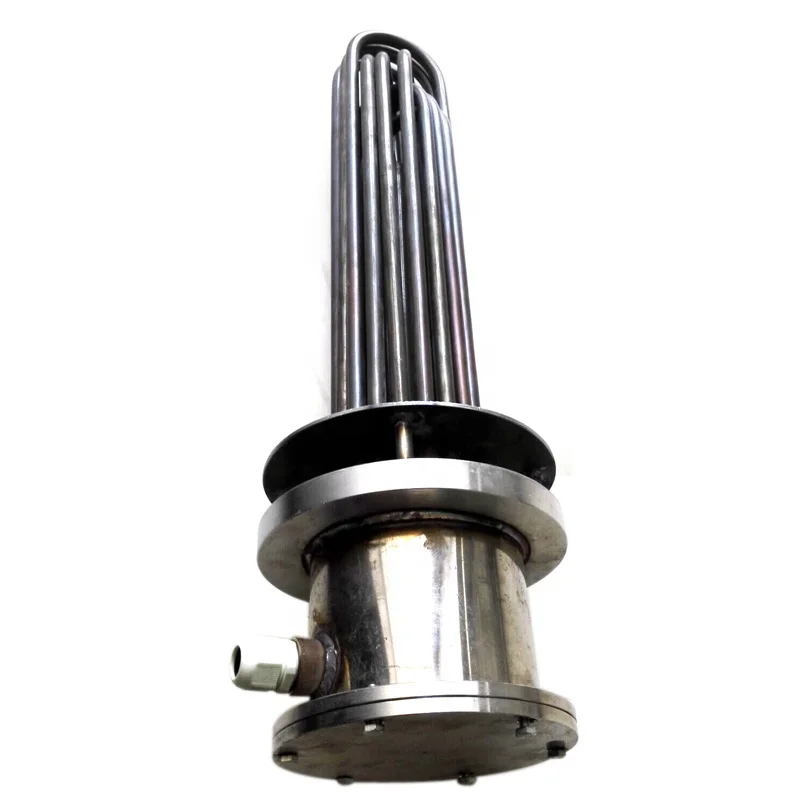 

Immersible swimming pool water heater