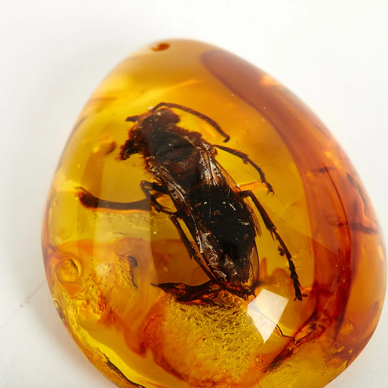 

new fashion insect amber gem ornaments butterfly DIY crafts gifts decorative crystal mud animal specimens