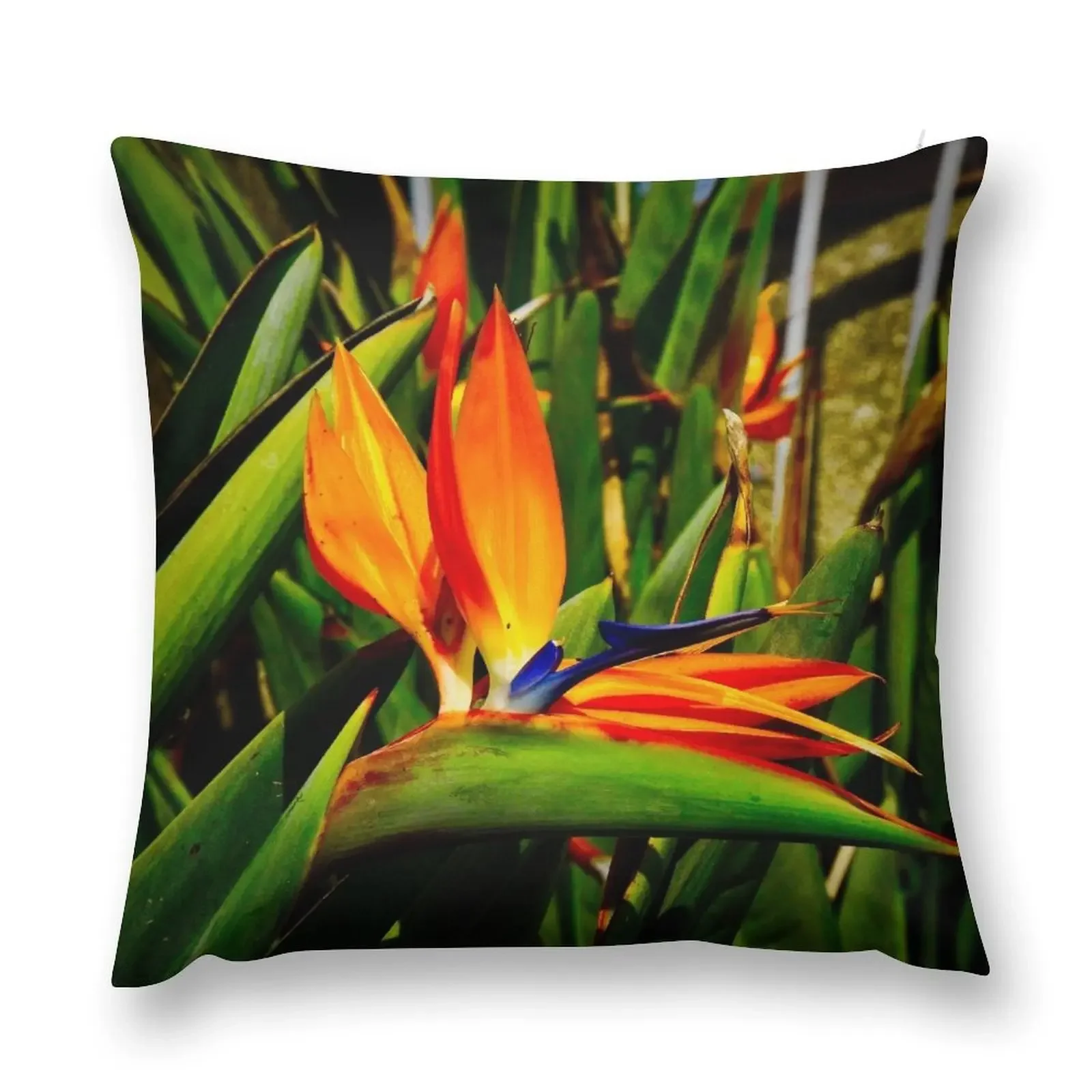 Райская птица Vibrancy наволочка для подушки дивана декоративные наволочки