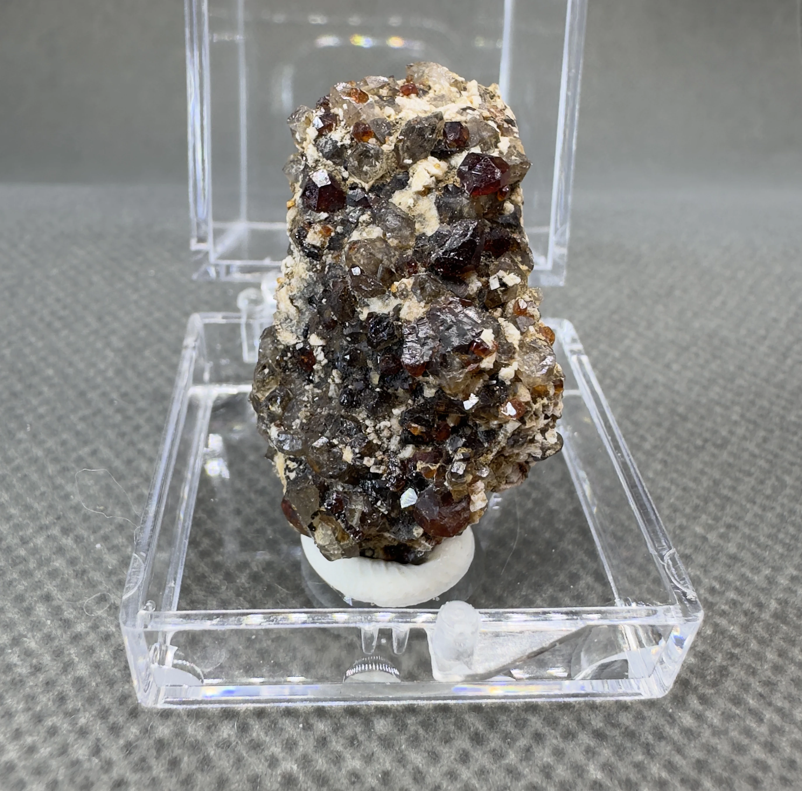 Набор для выращивания граната QIANCHUAN