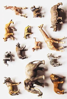 Ной ковчег без опора Animal Guess от Фрейзера Паркера - Фокусы