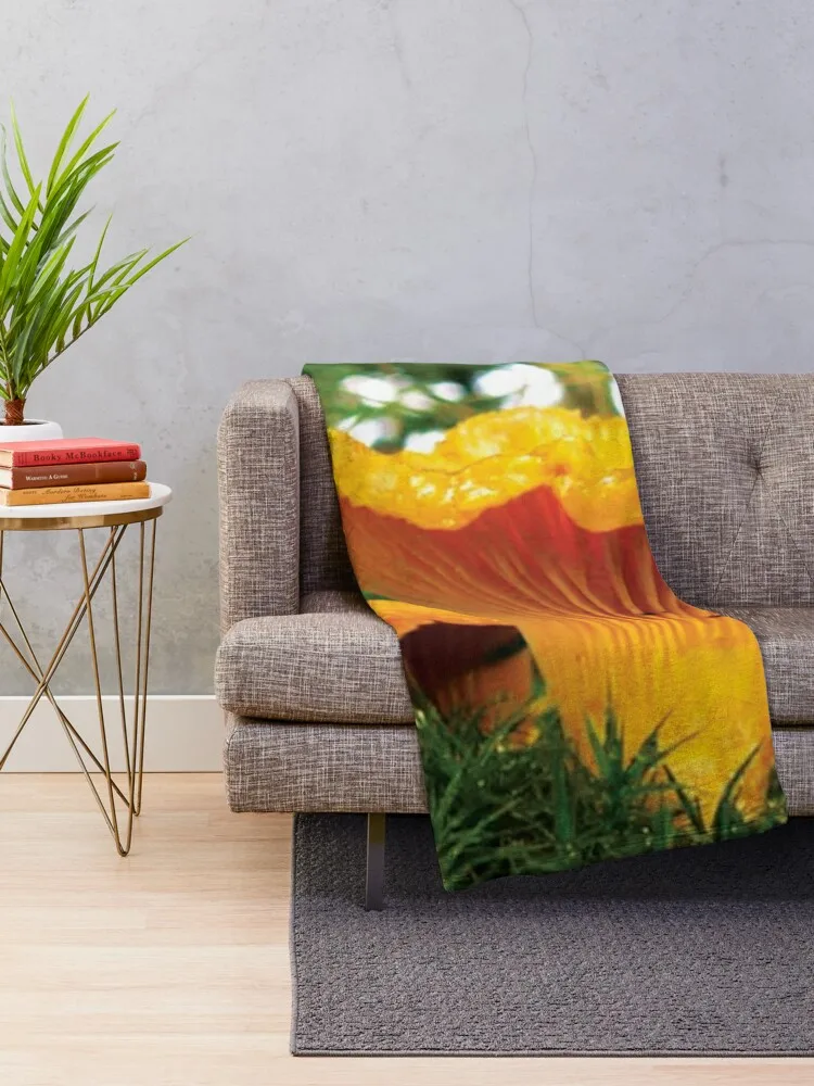 Золотой чайник Гриб в лесу дикой еды Плед Фланелевая ткань Мягкие одеяла