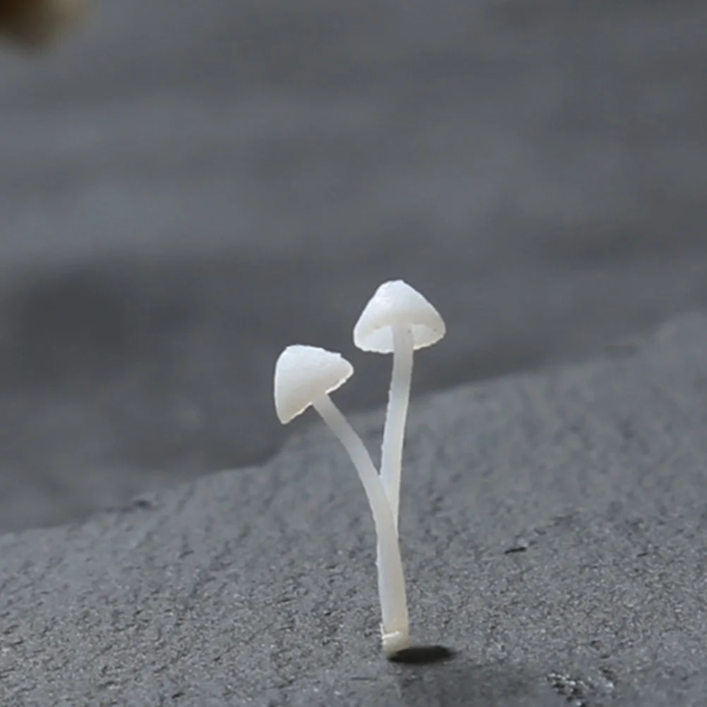 

Mushroom Resin Filler Mini Mold Epoxy Miniature Mushrooms Garden Ornaments Bonsai Casting Molds Crystal Mould Jewelry Filling