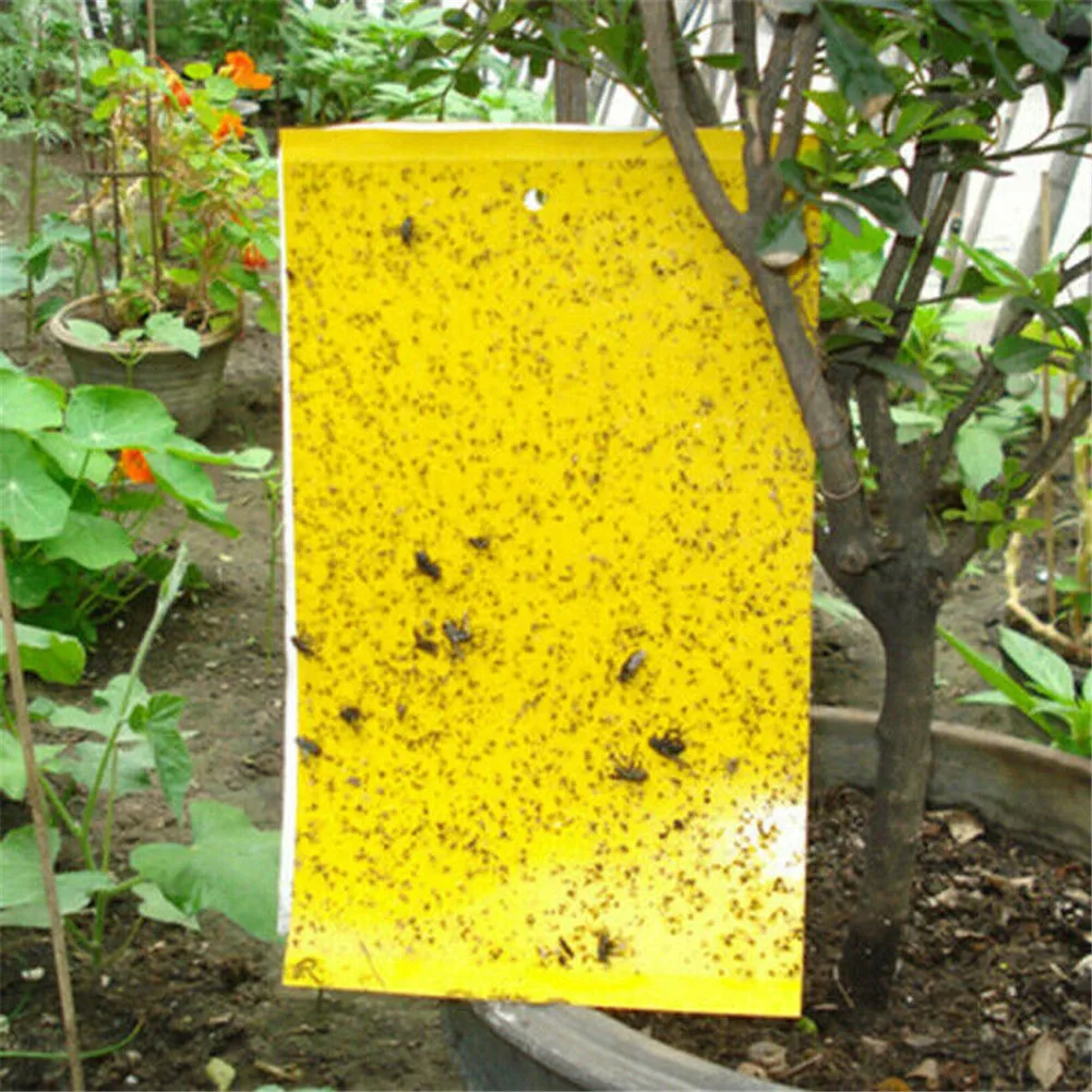 

Клейкая ловушка для мух 20 шт., двусторонняя бумажная ловушка для насекомых, фруктов, мух, клея, бумажная ловушка для уничтожения вредителей