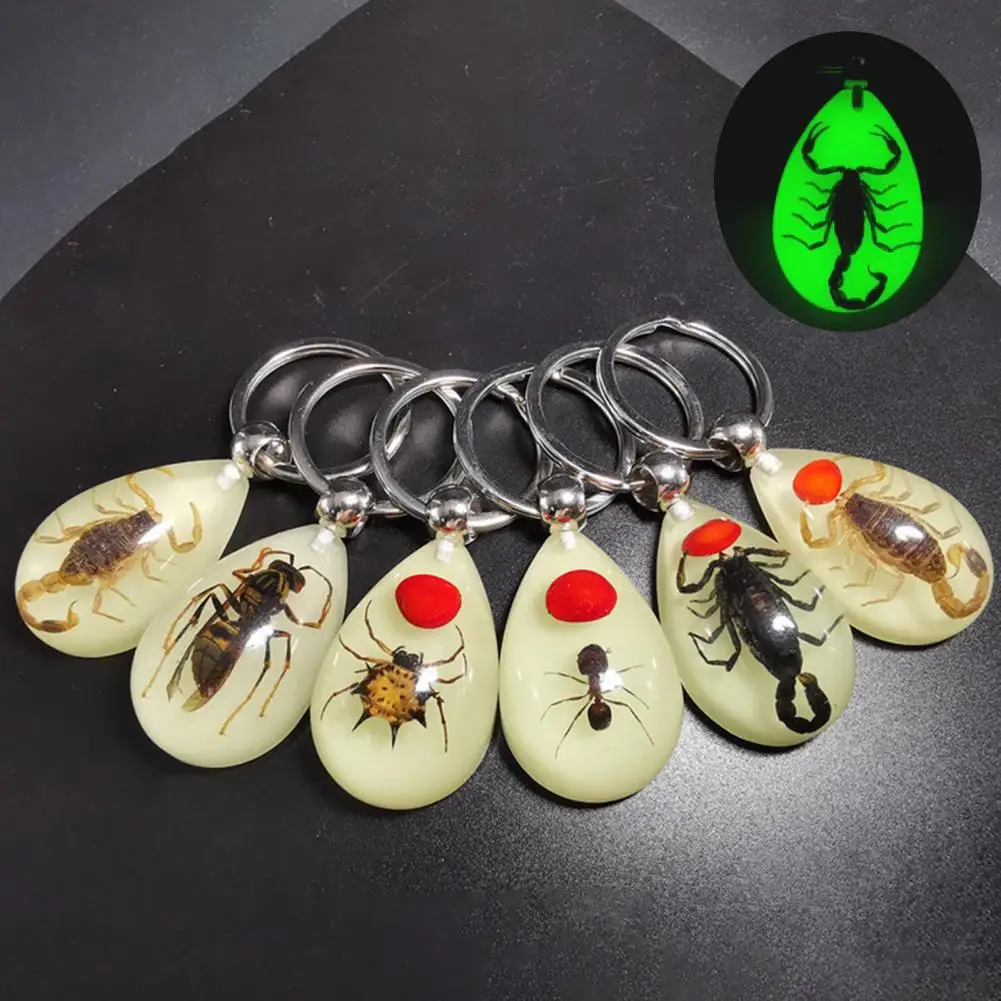 

Amber Resin Keychain Pendant Glow in The Dark Punk Unique Scorpion Ants Bee Crabs Spider Key Ring Car Keyring Pendant for Men