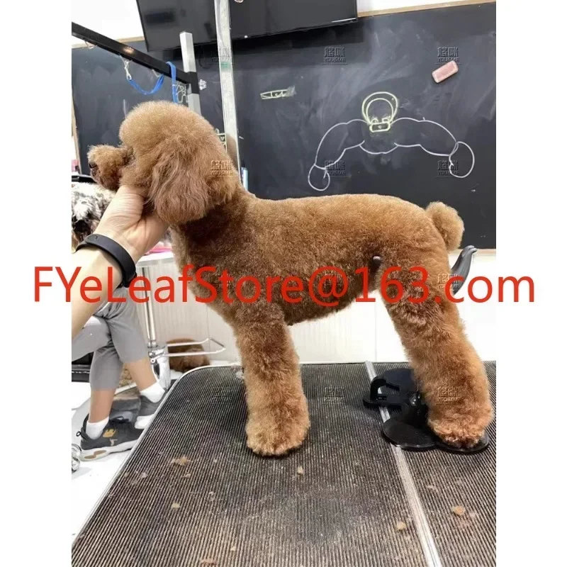 Волшебная лестница Ruitong MOTI помощь при собаках стоячий кронштейн грумер собака