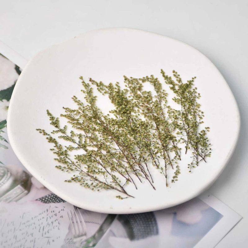 Прессованные Artemisia annua настоящие листья сухие цветы сделай сам фоторамка книги
