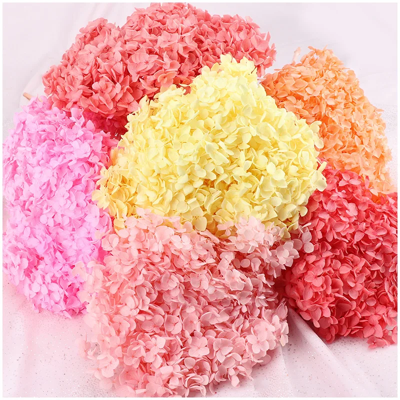 

5~5.5g/Lot Natural Fresh Preserved Flowers Dried Small Leaves Hydrangea Flower Heads For DIY Real Eternal Life Flowers Material