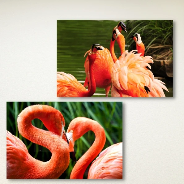 

Flamingo Diamond Painting Art Mediterranean Phoenicopteridae Lovely Birds Animal Protection Fashion Home Decor Craft Kits