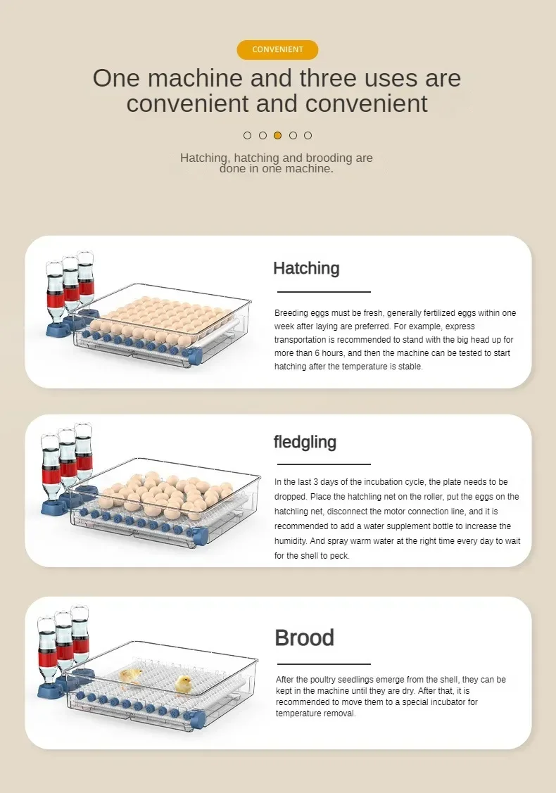 Автоматический инкубатор для яиц на 392 с двойной мощностью Rutabaga небольшой