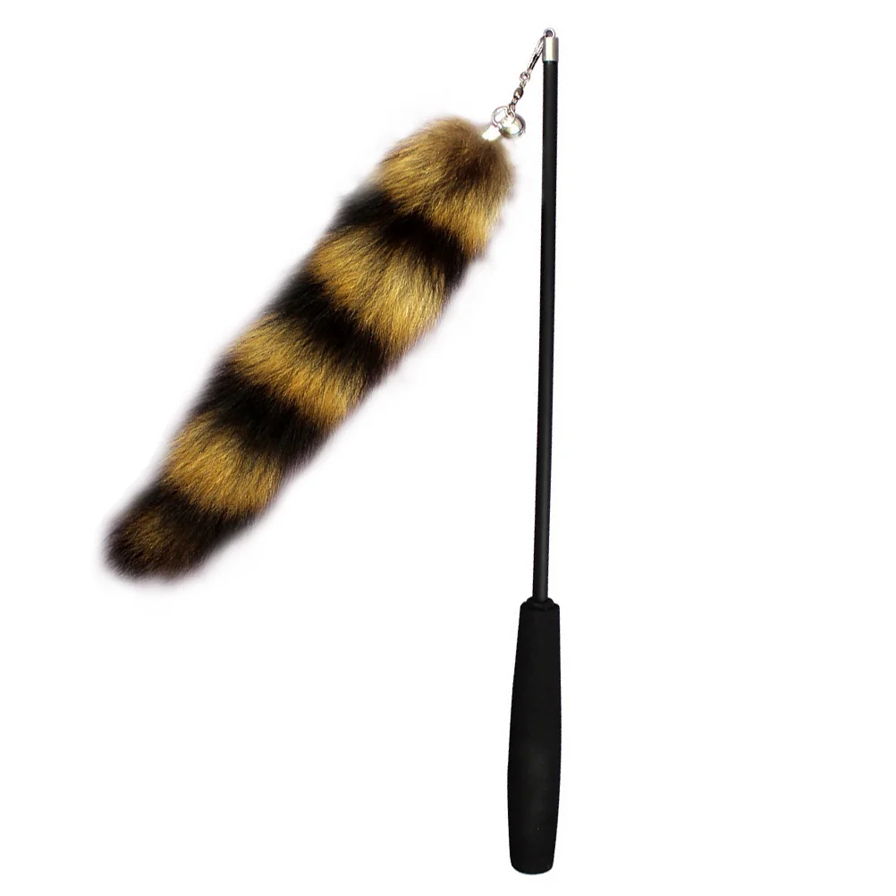 

Cat Teasing Foxtail Shape Telescopic Kitten Teaser Cat Chasing Plaything