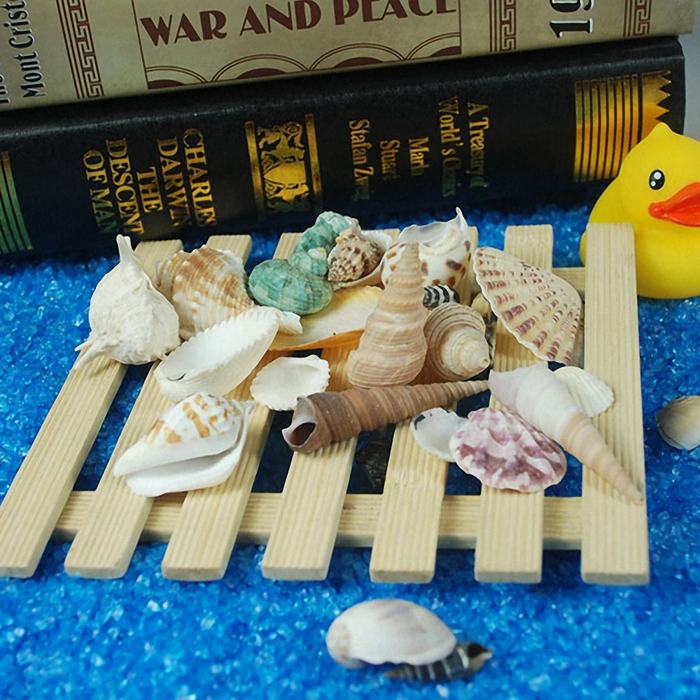 120 г/упаковка декоративные ракушки для аквариума морского океана Свадебный декор